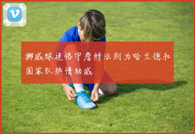 挪威球迷恪守詹特法则为哈兰德和国家队热情助威