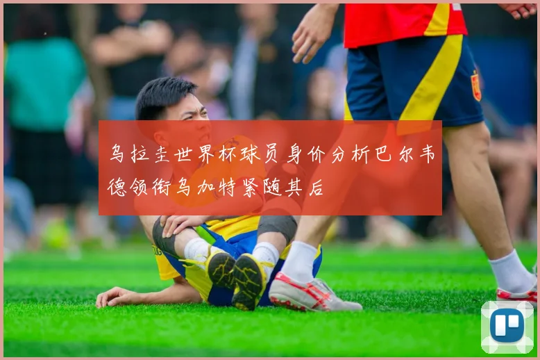 乌拉圭世界杯球员身价分析巴尔韦德领衔乌加特紧随其后