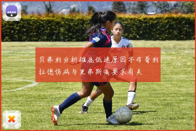 贝弗利分析雄鹿低迷原因字母哥利拉德伤病与里弗斯高要求有关